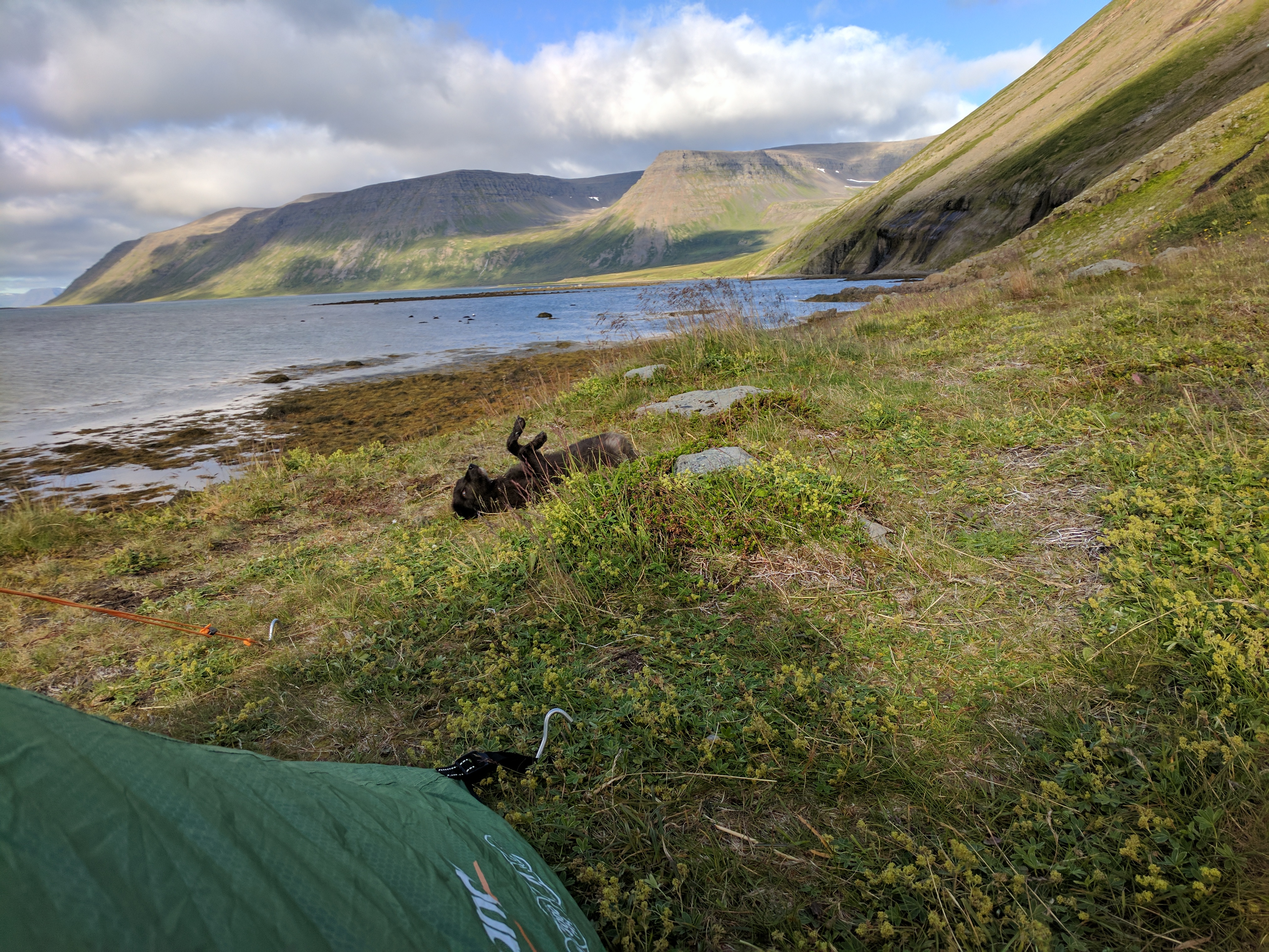 Veiðileysufjörður