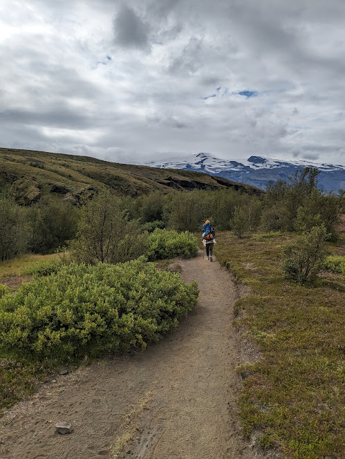 A person walking through a landscape of sparely populated vegetation