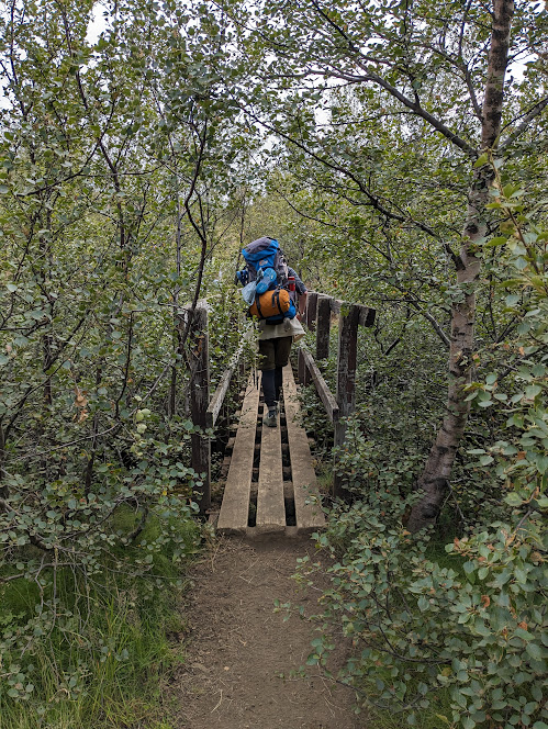 A person walking over a small bridge inside a dwarf birch forest